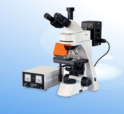落射荧光显微镜 XSP-63A价格