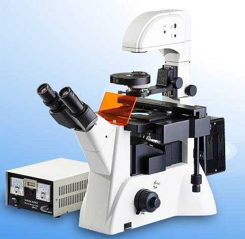 倒置荧光显微镜  XSP-63XDV价格